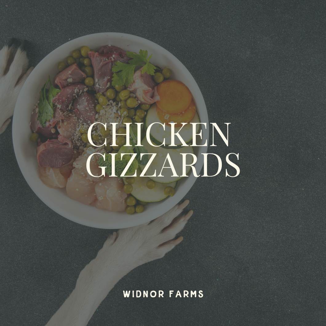 Chicken Gizzards- Pet Quality