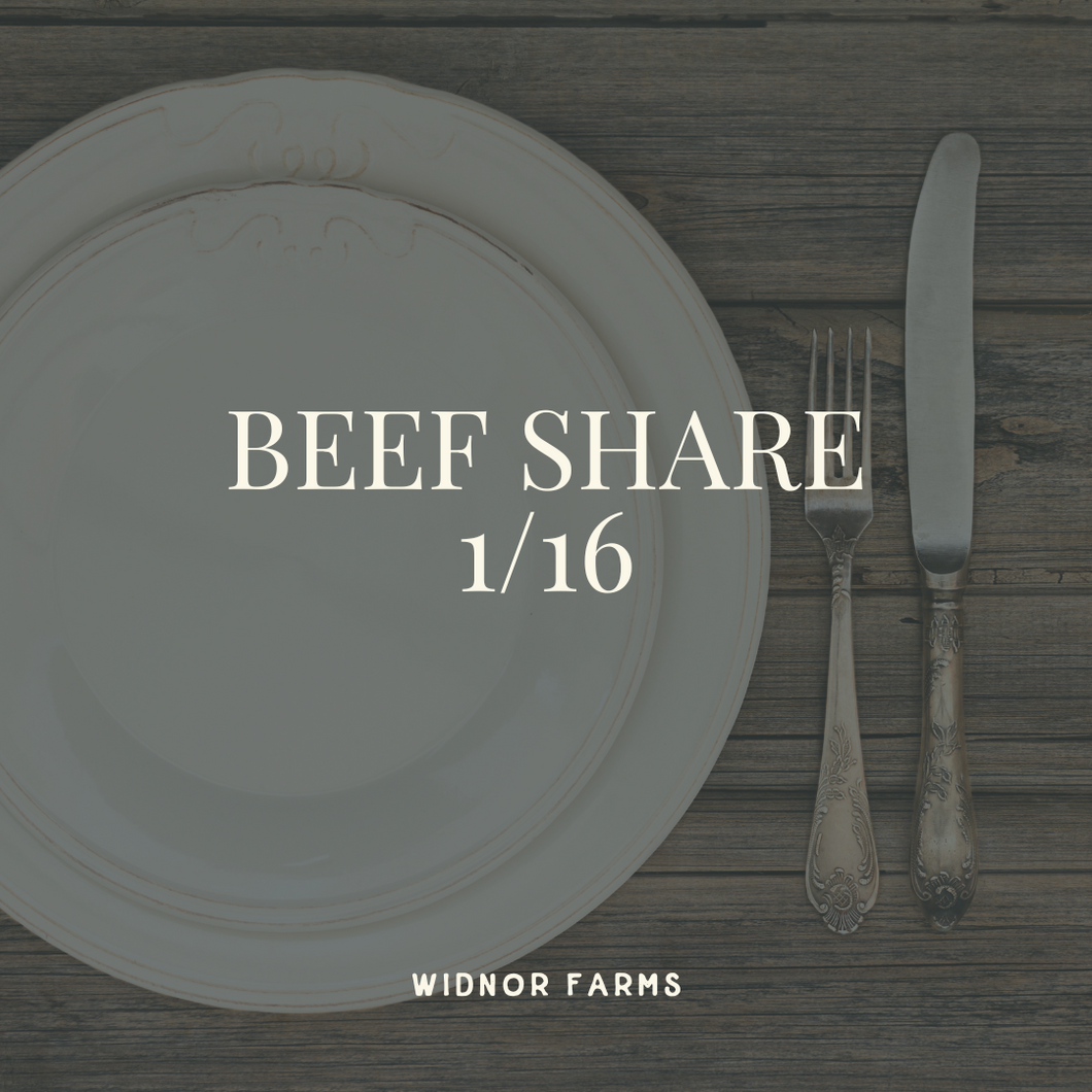 1/16th Beef Share