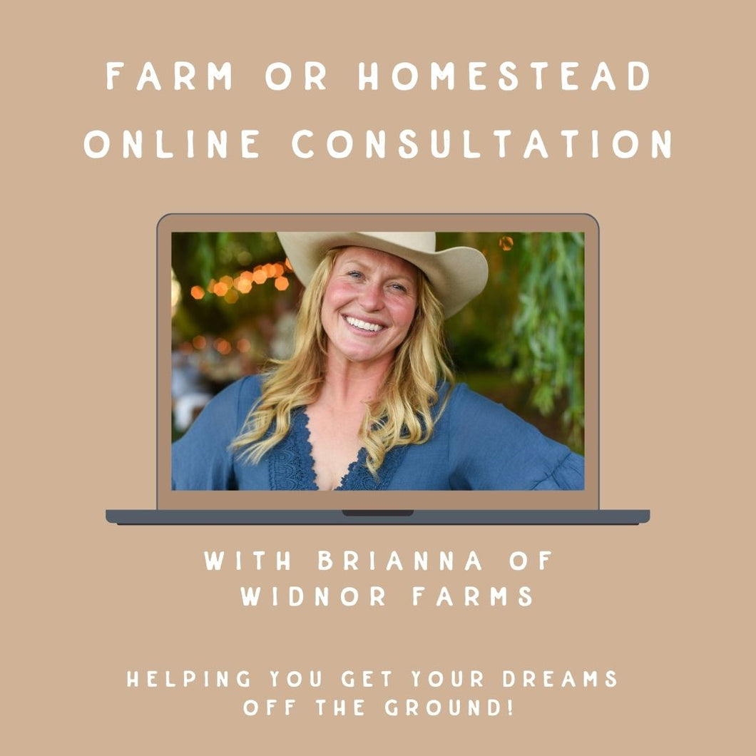 Farm Consultation with Brianna